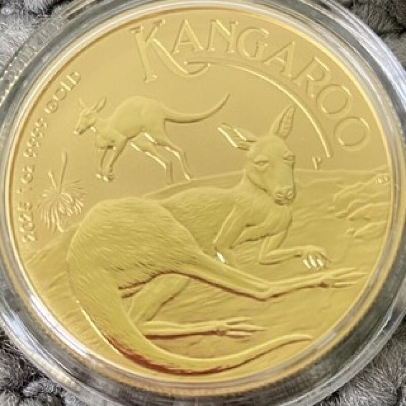 2025 1 oz 9999 Australian $100 gold kangaroo bullion coin in capsule  | eBay Australia