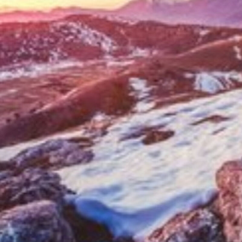 Your support means the world to me!